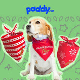 Khăn Choàng Cổ Cho Chó Mèo - Paddy Pet Shop